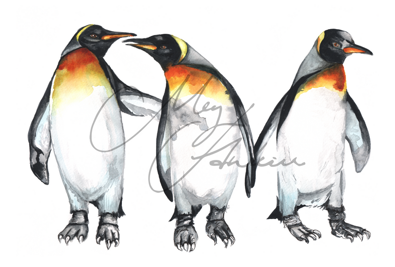 Penguin Design Splashback