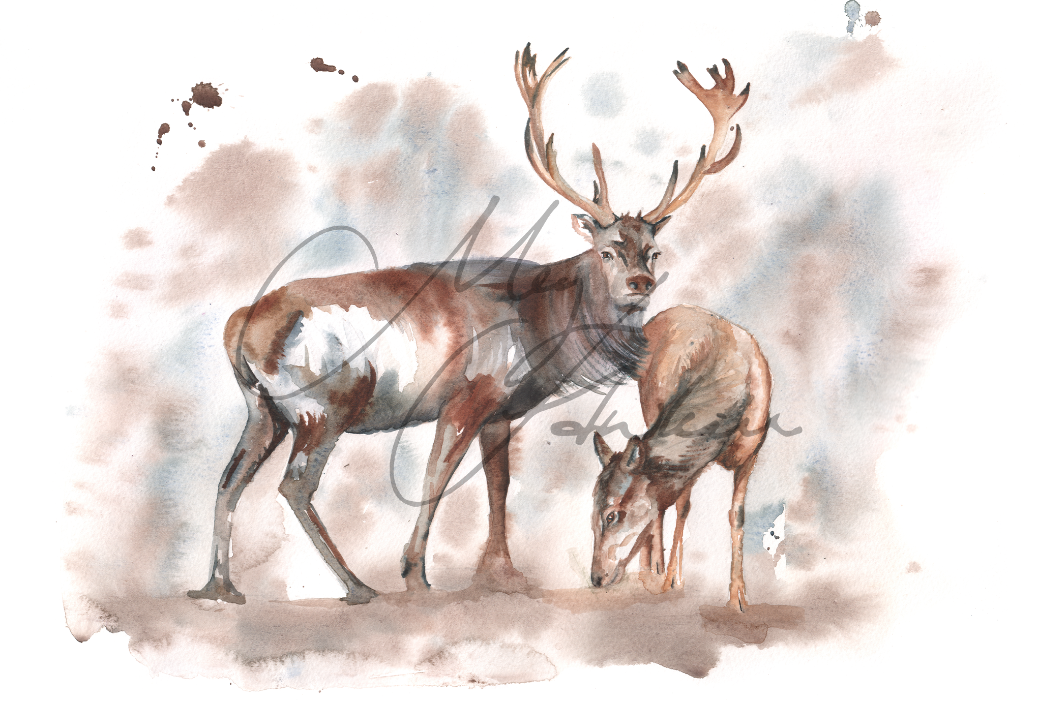 Stag and Doe Design Splashback