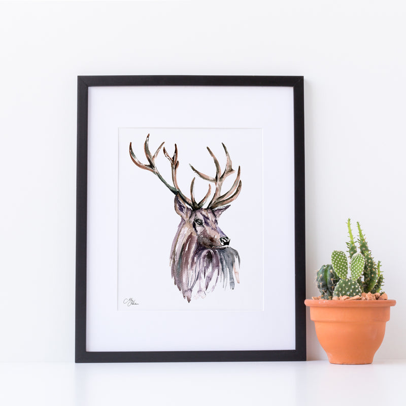 Stag Water colour A4 Mounted print with 14 x 11" Mount (Frame not included) By Meg Hawkins