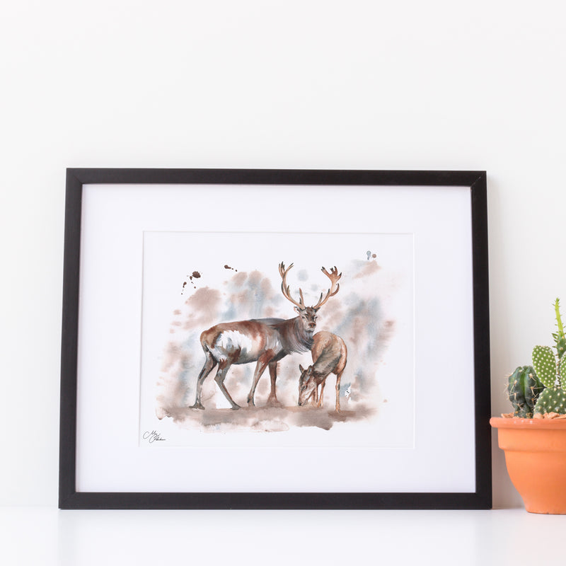 Stag and doe Water colour A4 Mounted print with 14 x 11" Mount (Frame not included) By Meg Hawkins