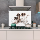 Spaniels Design Splashback