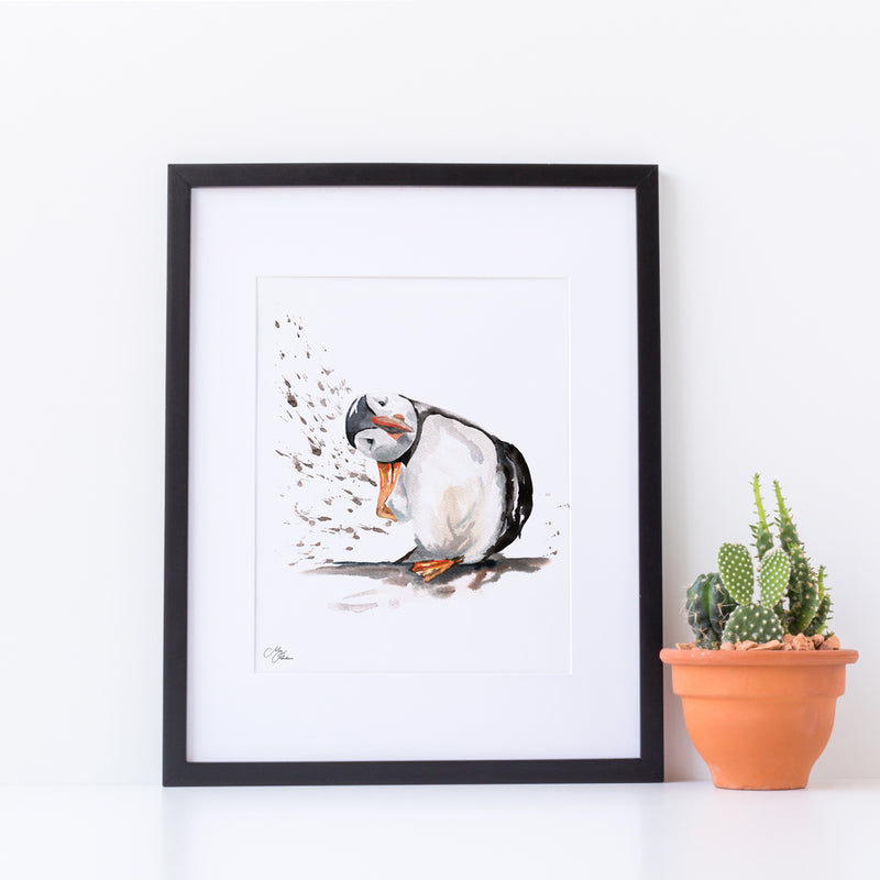 Puffin Water colour A4 Mounted print with 14 x 11" Mount (Frame not included) By Meg Hawkins