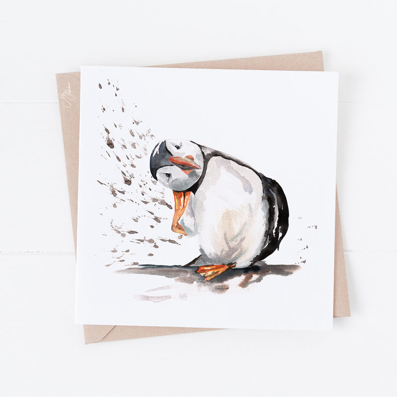 puffin Water Colour Greeting Card By Meg Hawkins