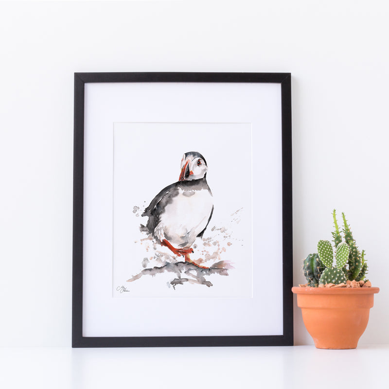 Puffin Water colour A4 Mounted print with 14 x 11" Mount (Frame not included) By Meg Hawkins