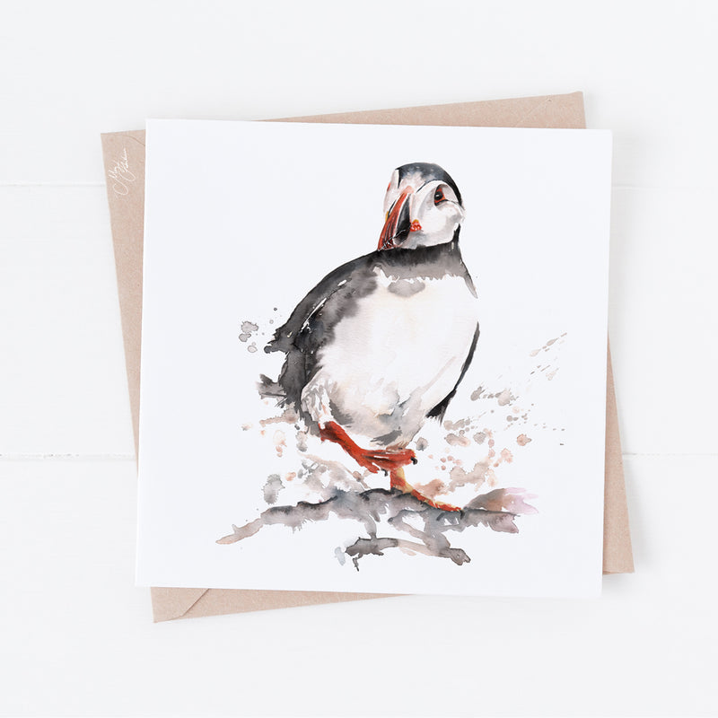 Puffin Water Colour Greeting Card By Meg Hawkins