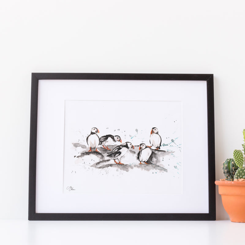 Puffins Water colour A4 Mounted print with 14 x 11" Mount (Frame not included) By Meg Hawkins