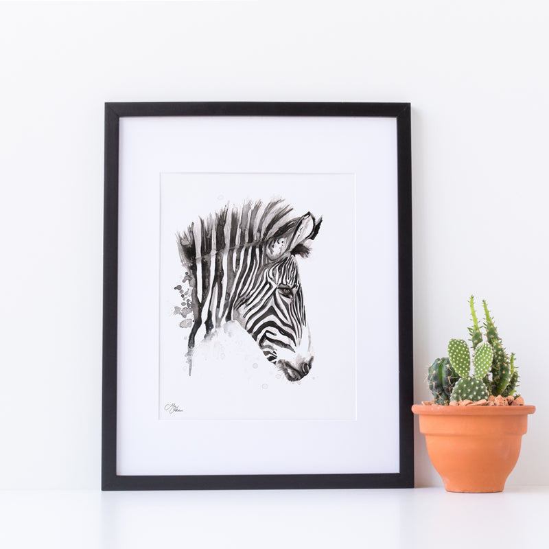 Zebra Water colour A4 Mounted print with 14 x 11" Mount (Frame not included) By Meg Hawkins