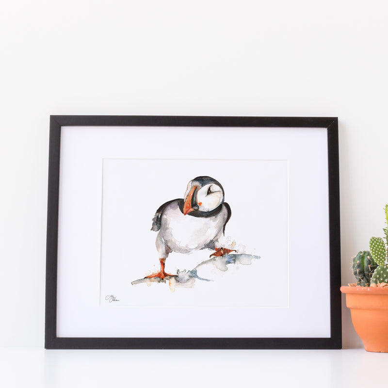 Puffin Water colour A4 Mounted print with 14 x 11" Mount (Frame not included) By Meg Hawkins