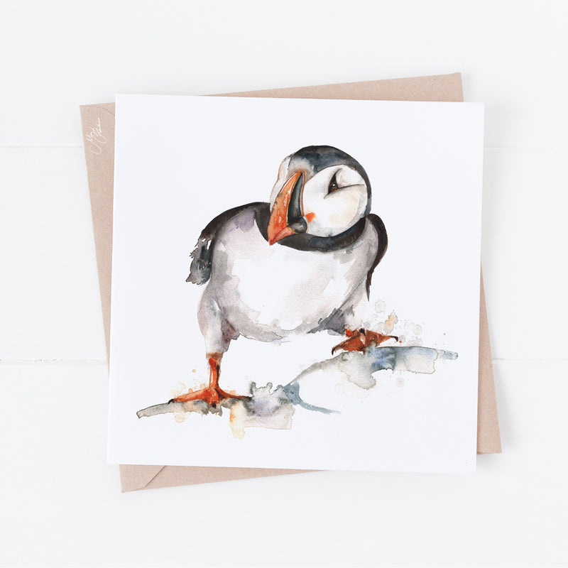 Puffin Water Colour Greeting Card By Meg Hawkins