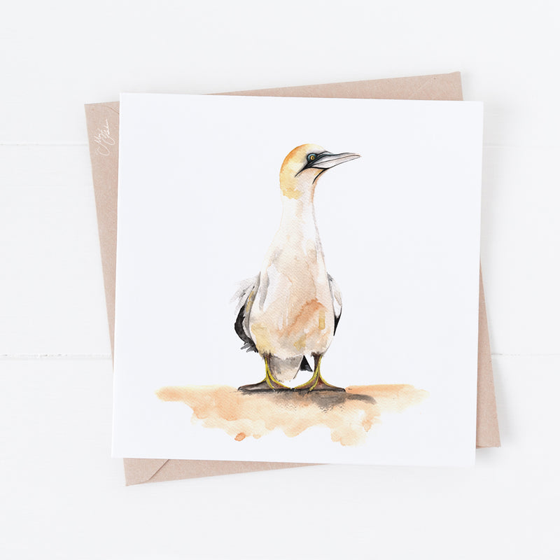 gannet greeting Card By Meg Hawkins